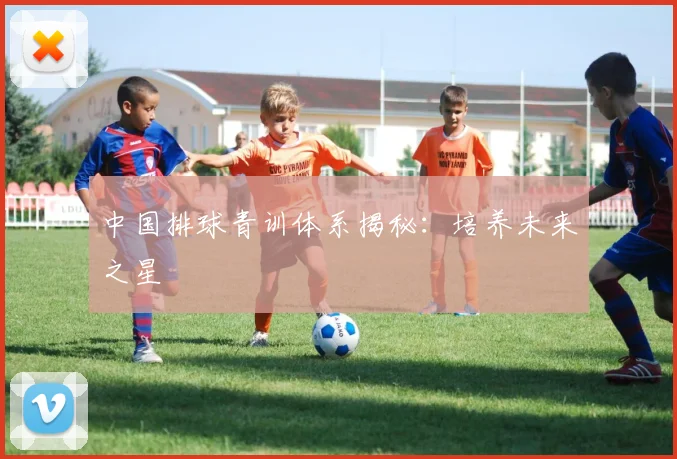 中国排球青训体系揭秘：培养未来之星